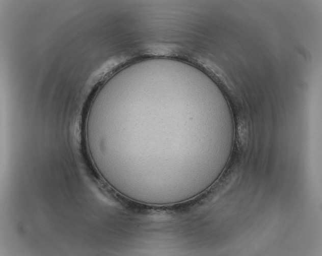 X0000113880682200910151314