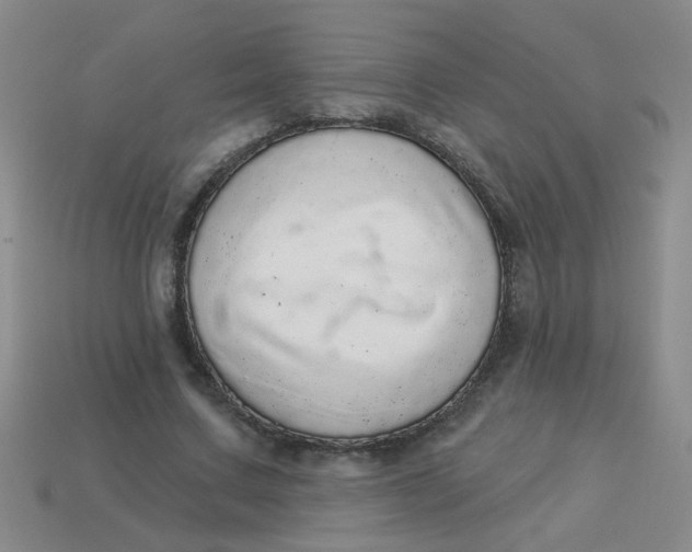 X0000113880683200910151314