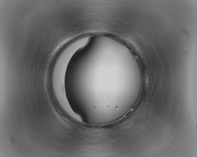 X0000113880684200910151314