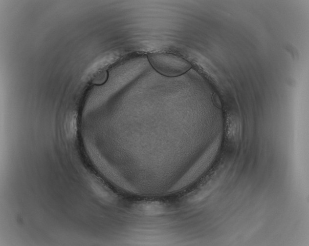 X0000113880685200910151314