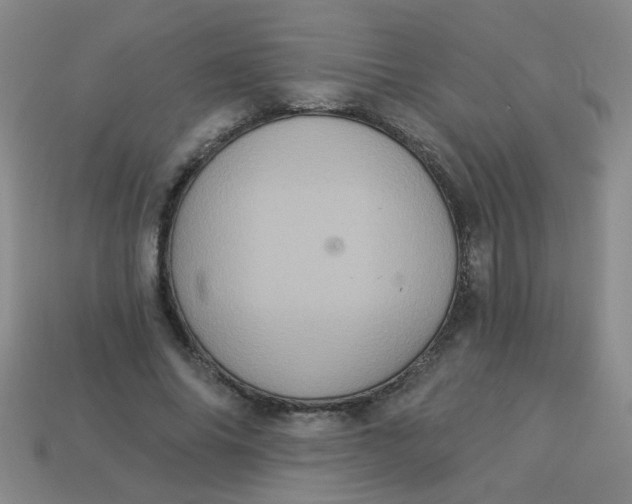 X0000113880686200910151313