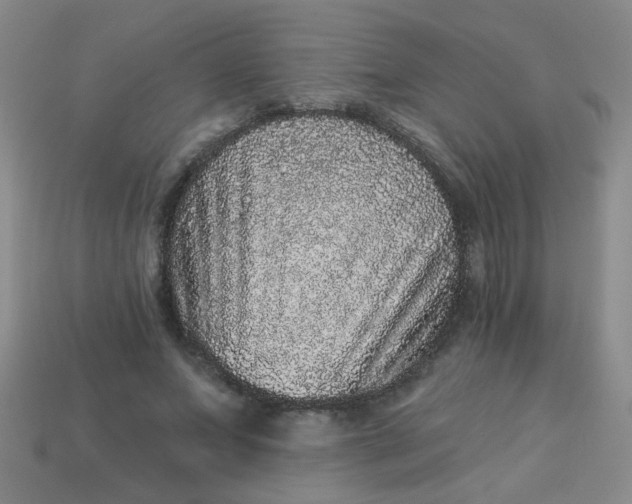 X0000113880687200910151313