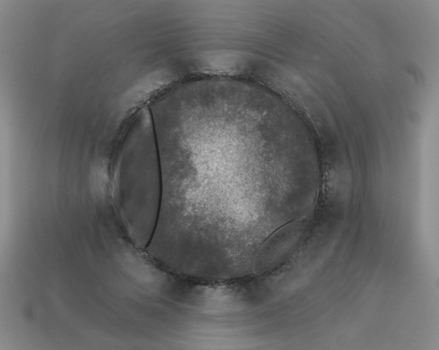 X0000113880688200910151313