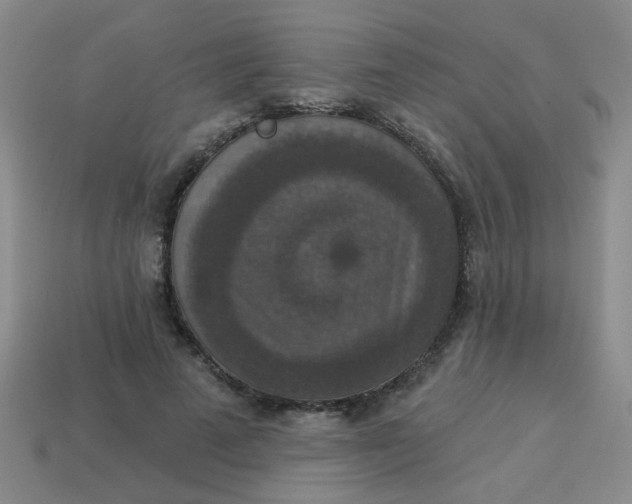 X0000113880689200910151313