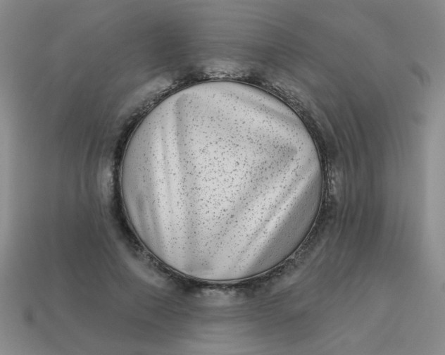 X0000113880690200910151313