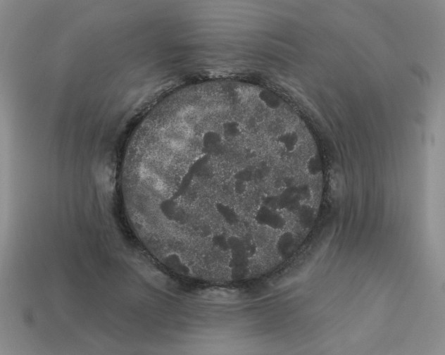 X0000113880691200910151313