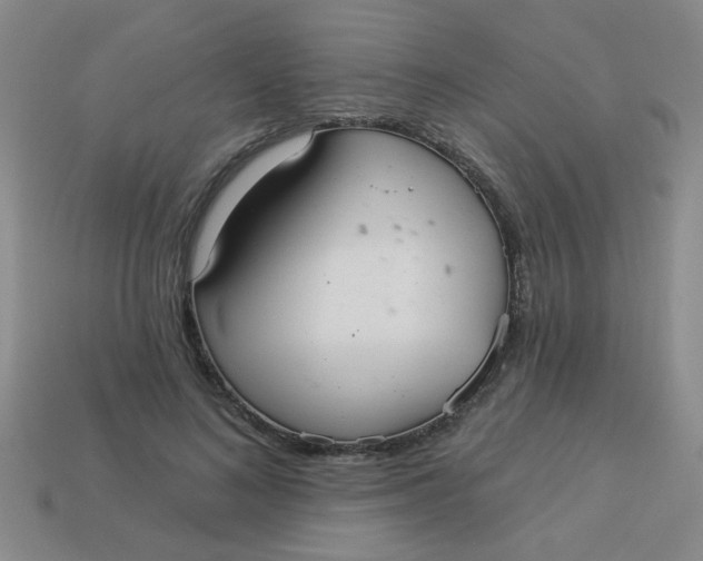 X0000113880692200910151313