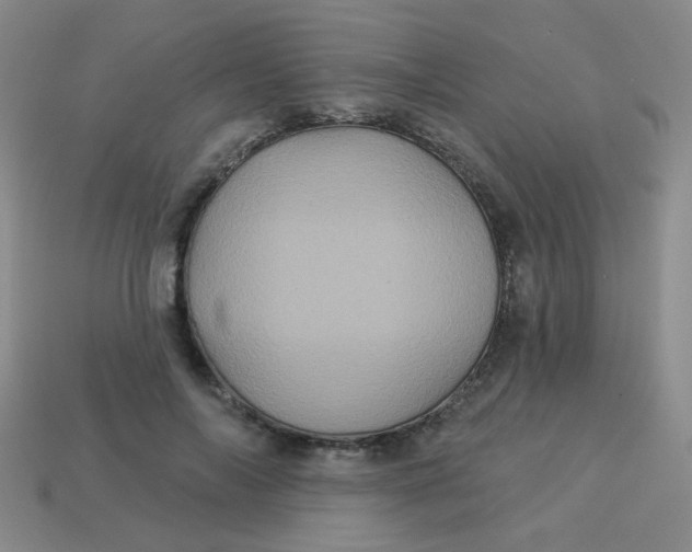 X0000113880694200910151313