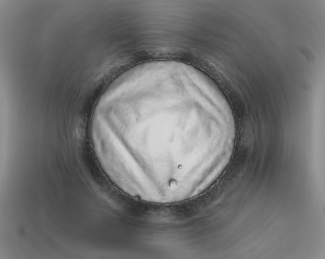 X0000113880695200910151313