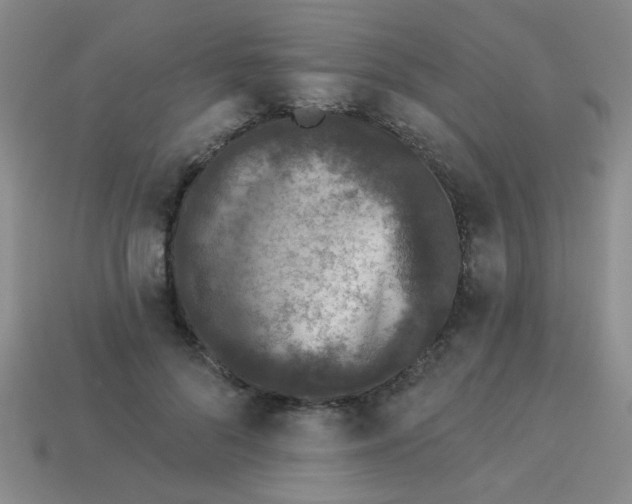 X0000113880696200910151313