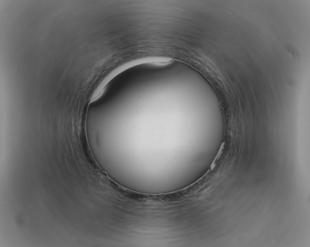 X0000113880697200910151313