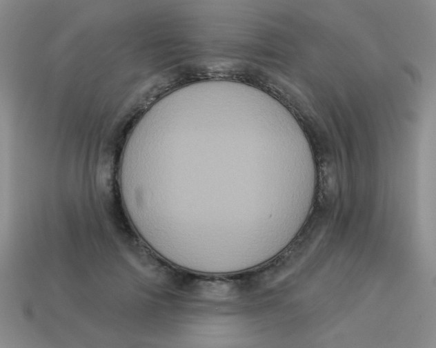 X0000113880698200910151313