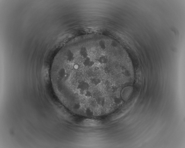 X0000113880699200910151313