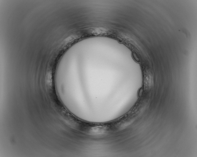 X0000113880700200910151313