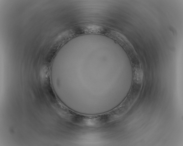 X0000113880701200910151313