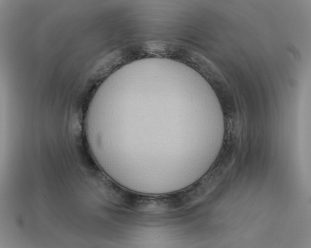 X0000113880702200910151313