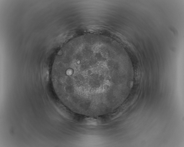 X0000113880703200910151313