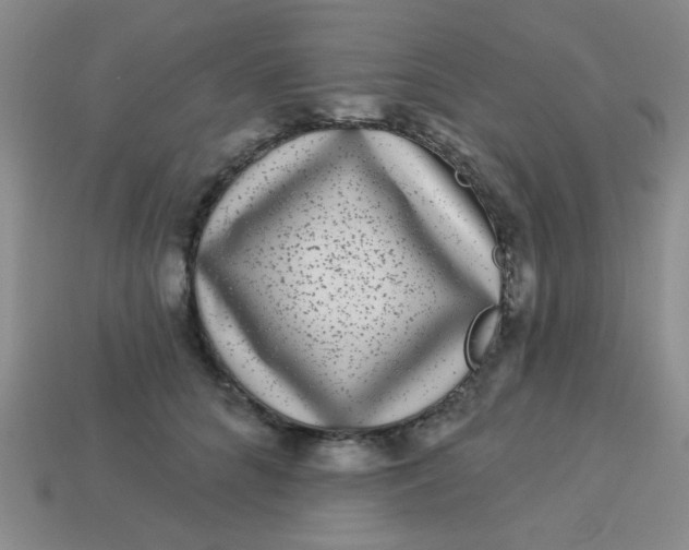 X0000113880704200910151313