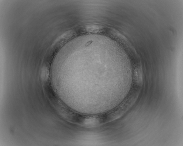 X0000113880705200910151313