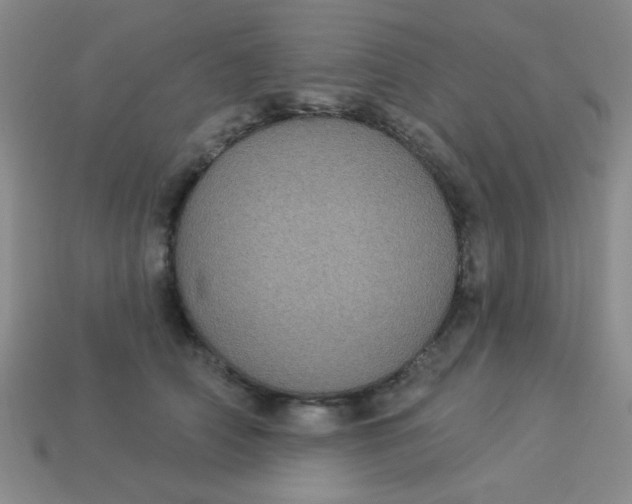 X0000113880706200910151313