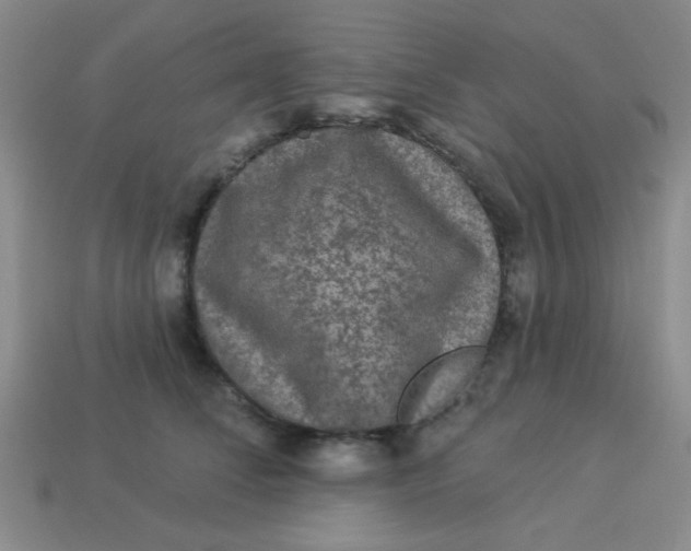 X0000113880708200910151313