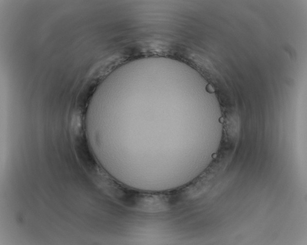 X0000113880709200910151313