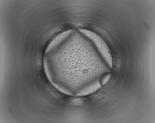 X0000113880710200910151313