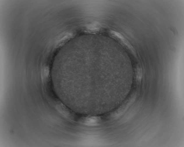 X0000113880711200910151313