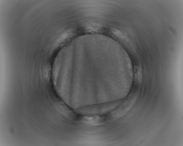 X0000113880712200910151313