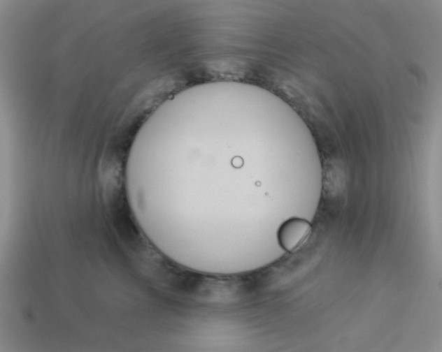 X0000113880713200910151313