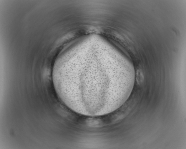 X0000113880714200910151313