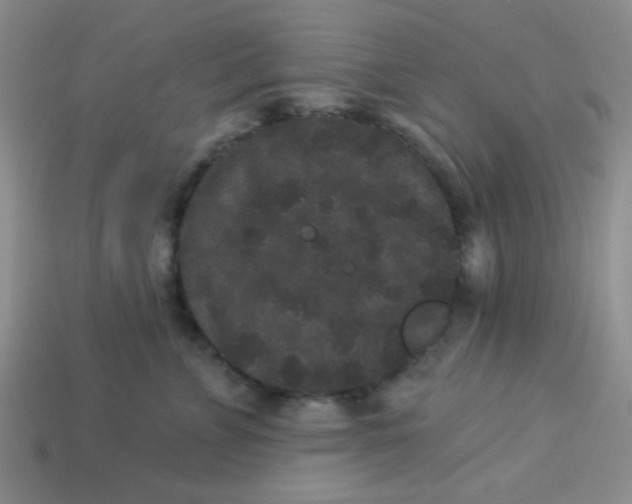 X0000113880715200910151313