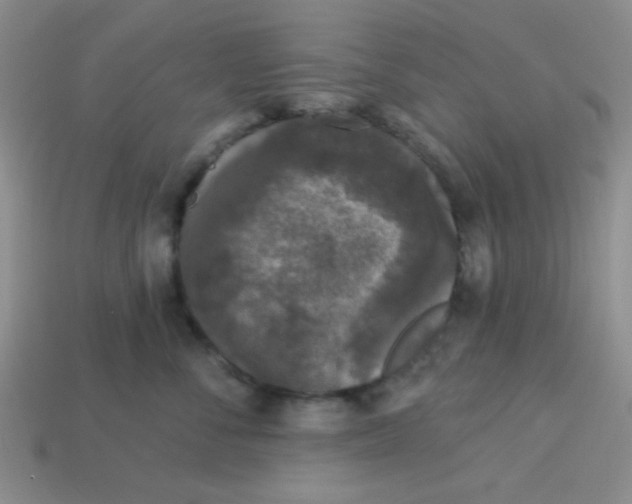 X0000113880716200910151313