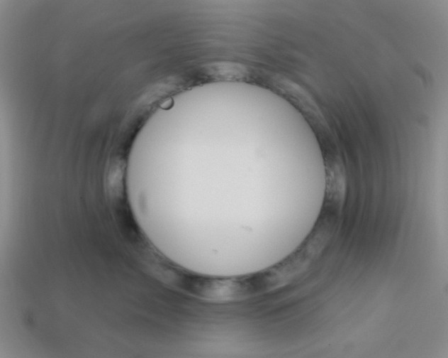 X0000113880717200910151313