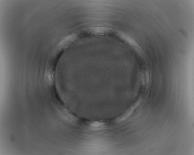 X0000113880718200910151313