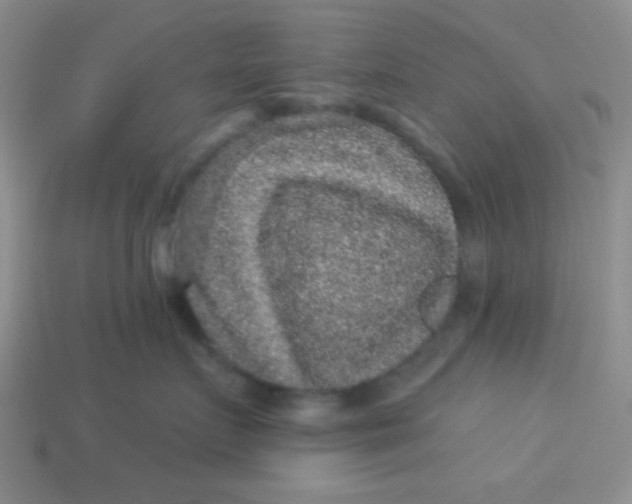 X0000113880719200910151313