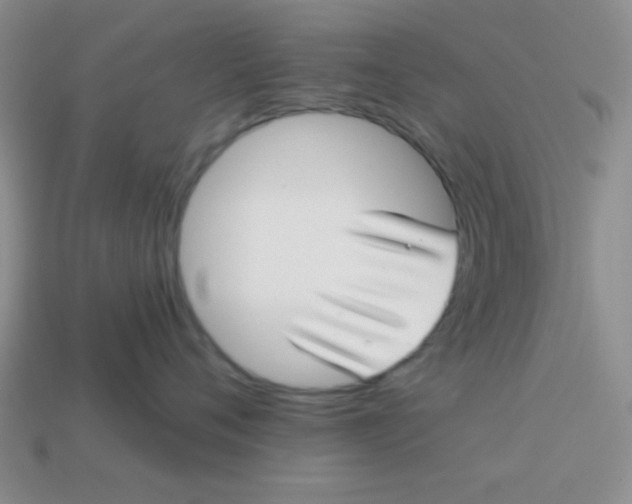 X0000113880720200910151313