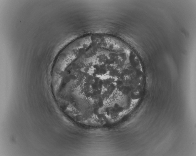 X0000113880721200910151312