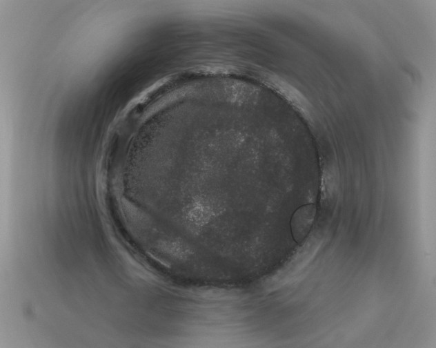 X0000113880722200910151312