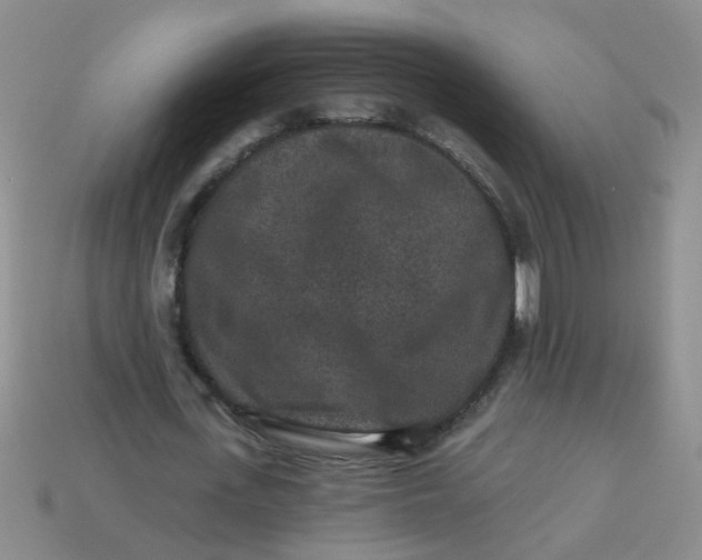 X0000113880723200910151312