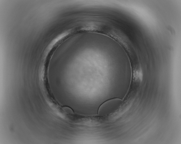 X0000113880724200910151312