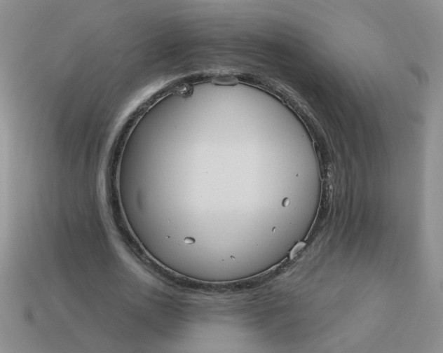 X0000113880726200910151313