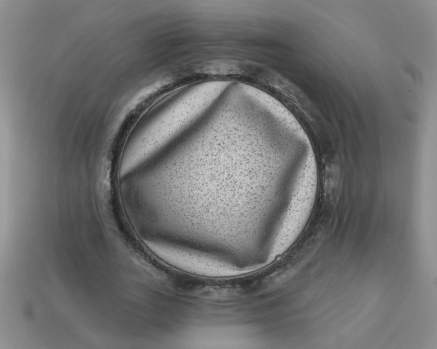 X0000113880727200910151313