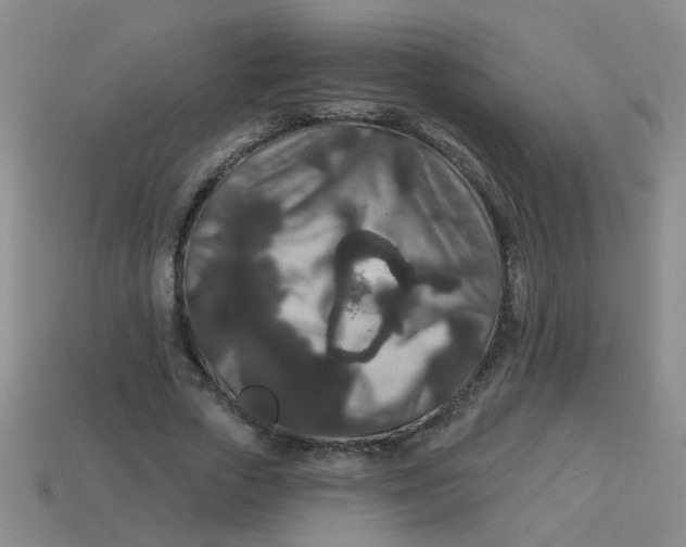 X0000113880729200910151313