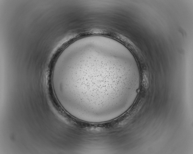 X0000113880730200910151313