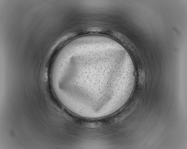 X0000113880731200910151313