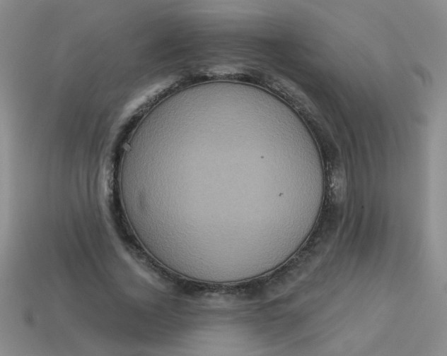 X0000113880732200910151313