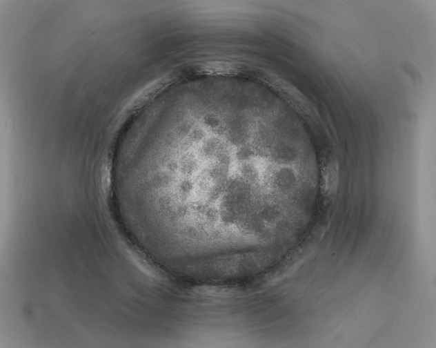 X0000113880733200910151313