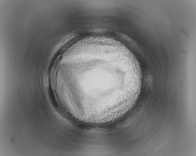 X0000113880734200910151313