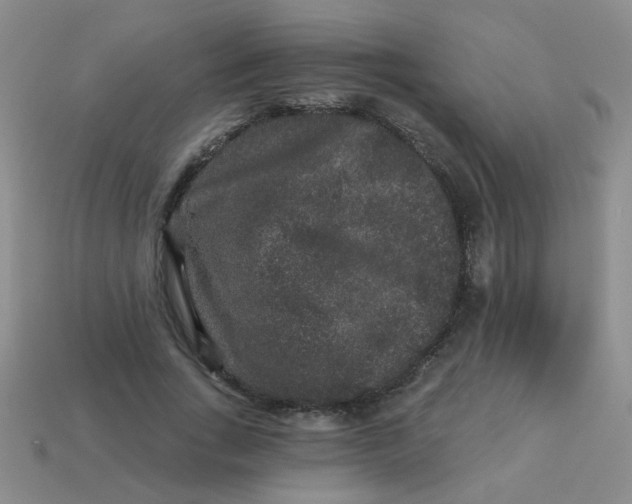 X0000113880735200910151313